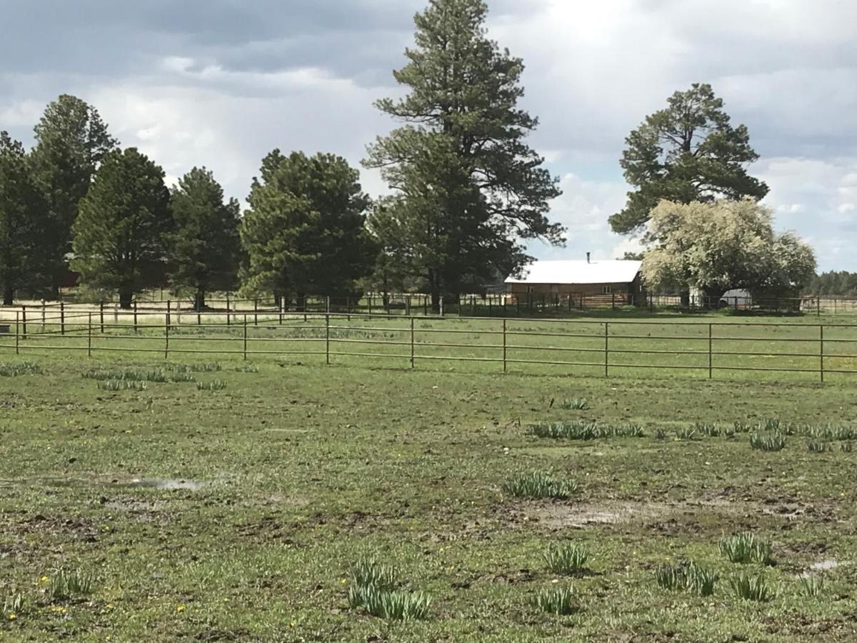 Grand Canyon Cottage At Historic Wrigley Ranch With Horseback Riding & Shooting Parks Екстер'єр фото